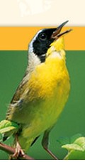 Highland Park Bird Food
