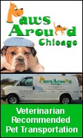  Pet Transportation in Chicago 