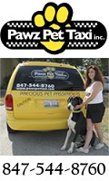 Pet Taxi Chicago
