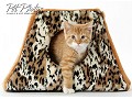 Pet Photos, Chicago - logo
